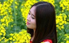 耕种妈妈肥沃的土地美国